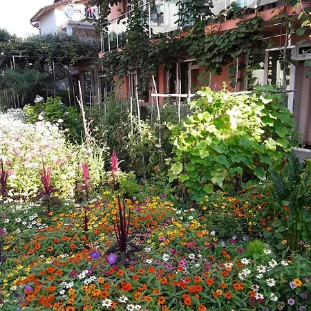 Hotel Emerald Kiten (Burgas)